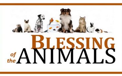 Blessing of the Animals – October 4th in front of the Family Life Center