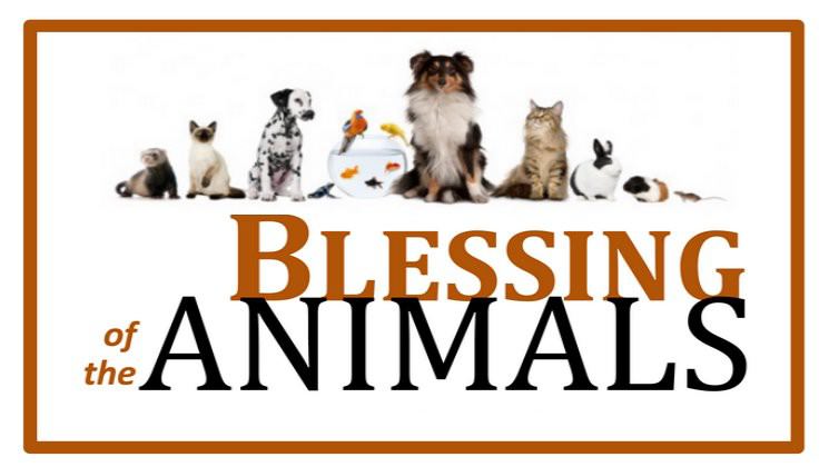 Blessing of the Animals – October 4th in front of the Family Life Center